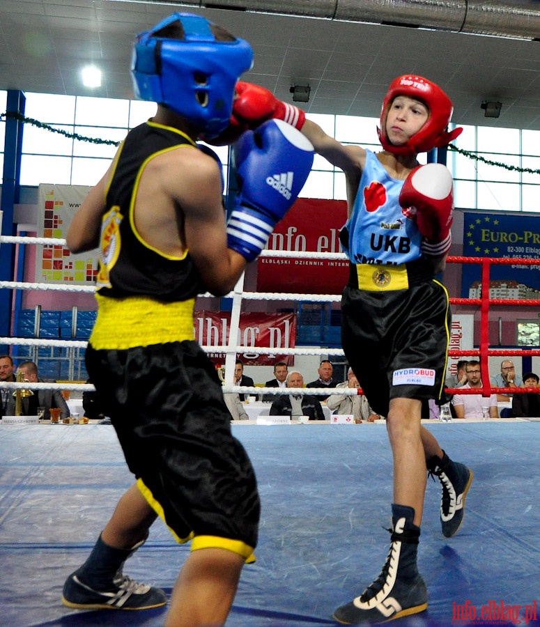 Midzynarodowy Mecz Bokserski o Puchar Prezydenta Elblga - KSW „Tygrys” vs Angered Boxing Club Gteborg (Szwecja), fot. 8