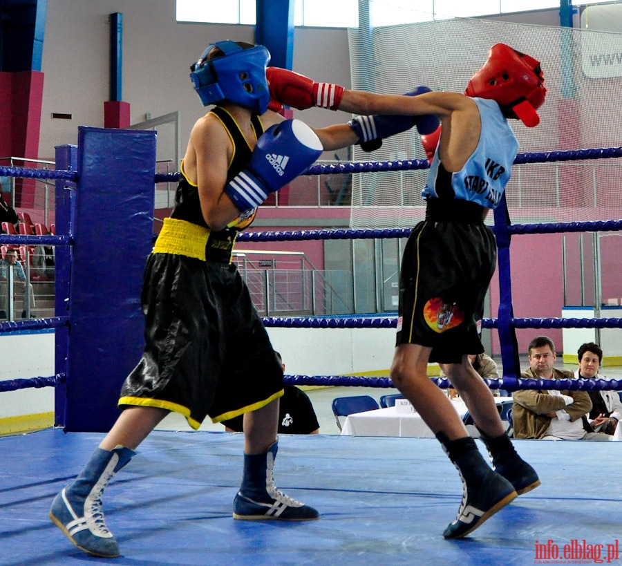 Midzynarodowy Mecz Bokserski o Puchar Prezydenta Elblga - KSW „Tygrys” vs Angered Boxing Club Gteborg (Szwecja), fot. 9