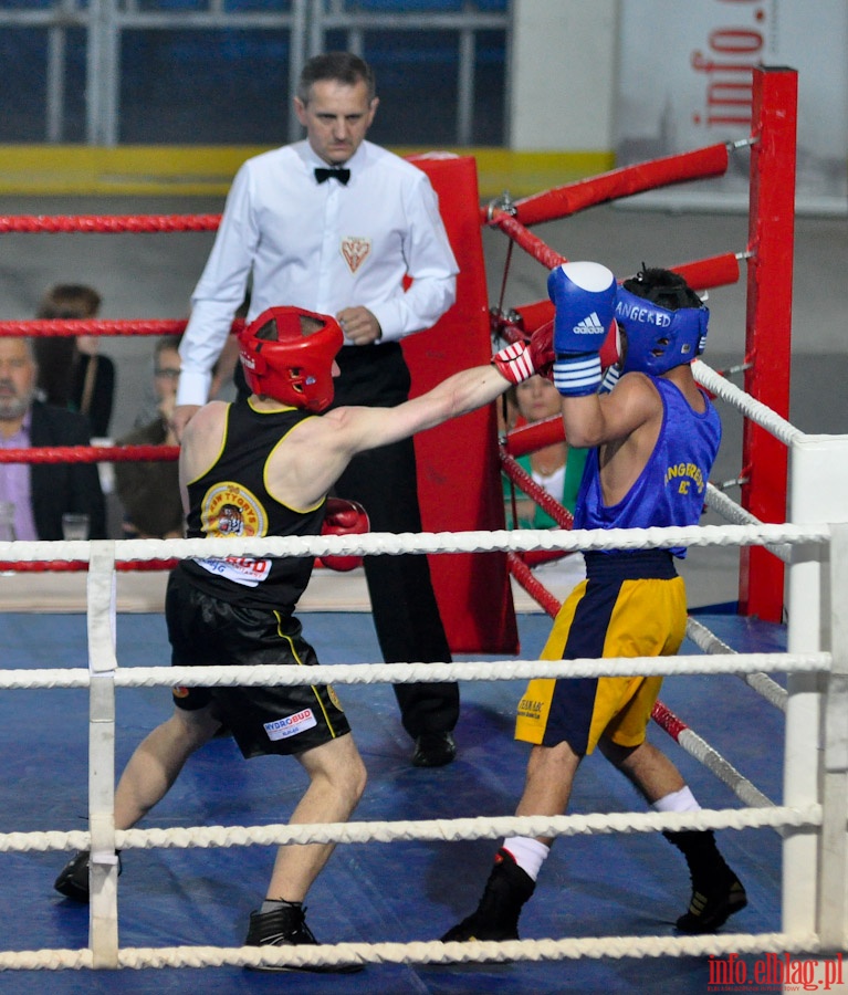 Midzynarodowy Mecz Bokserski o Puchar Prezydenta Elblga - KSW „Tygrys” vs Angered Boxing Club Gteborg (Szwecja), fot. 26