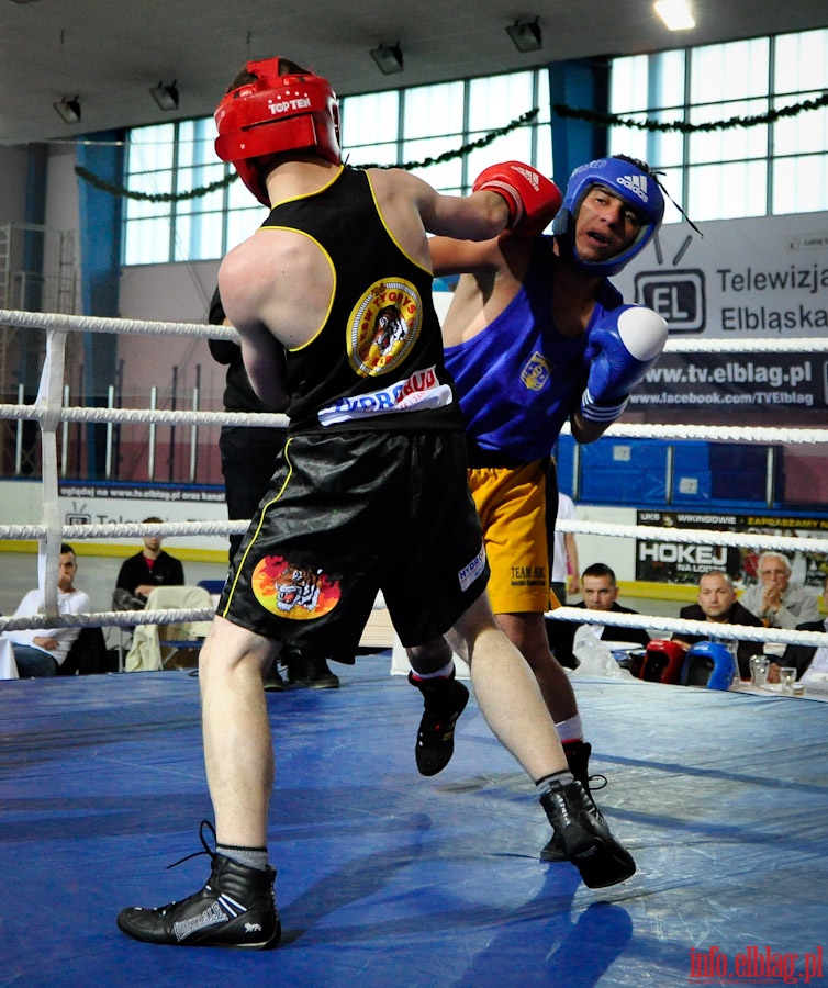 Midzynarodowy Mecz Bokserski o Puchar Prezydenta Elblga - KSW „Tygrys” vs Angered Boxing Club Gteborg (Szwecja), fot. 27