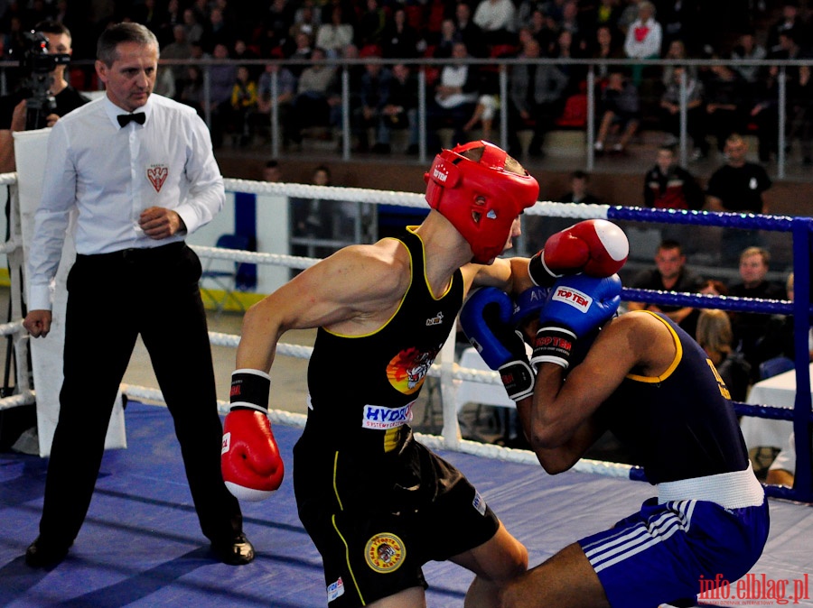 Midzynarodowy Mecz Bokserski o Puchar Prezydenta Elblga - KSW „Tygrys” vs Angered Boxing Club Gteborg (Szwecja), fot. 29