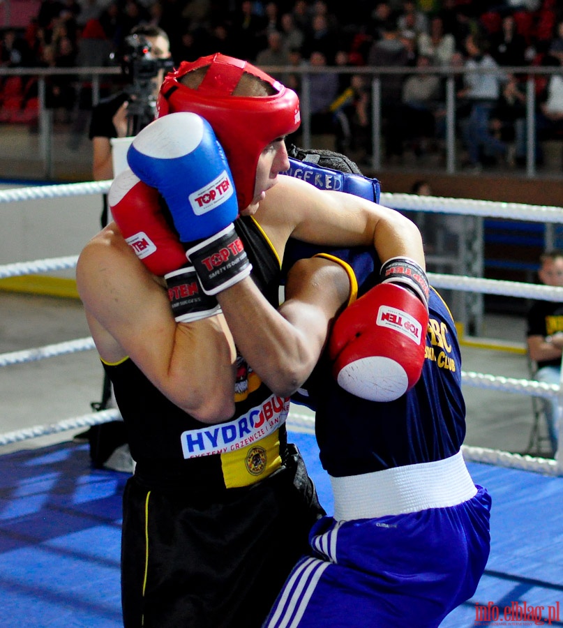 Midzynarodowy Mecz Bokserski o Puchar Prezydenta Elblga - KSW „Tygrys” vs Angered Boxing Club Gteborg (Szwecja), fot. 30