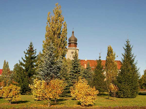 Zota Elblska Jesie (fotorelacja cz. 1), fot. 14