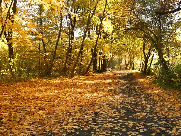 Zota Elblska Jesie (fotorelacja cz. 1), fot. 27