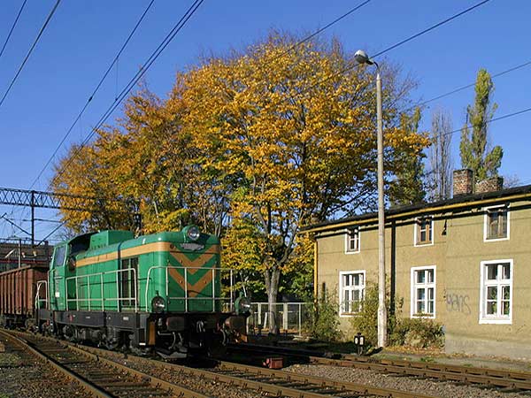 Zota Elblska Jesie (fotorelacja cz. 1), fot. 30