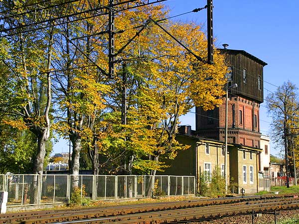 Zota Elblska Jesie (fotorelacja cz. 1), fot. 31