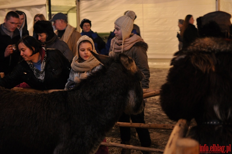 witeczne Spotkania Elblan - niedziela, 16 grudnia 2012r., fot. 26