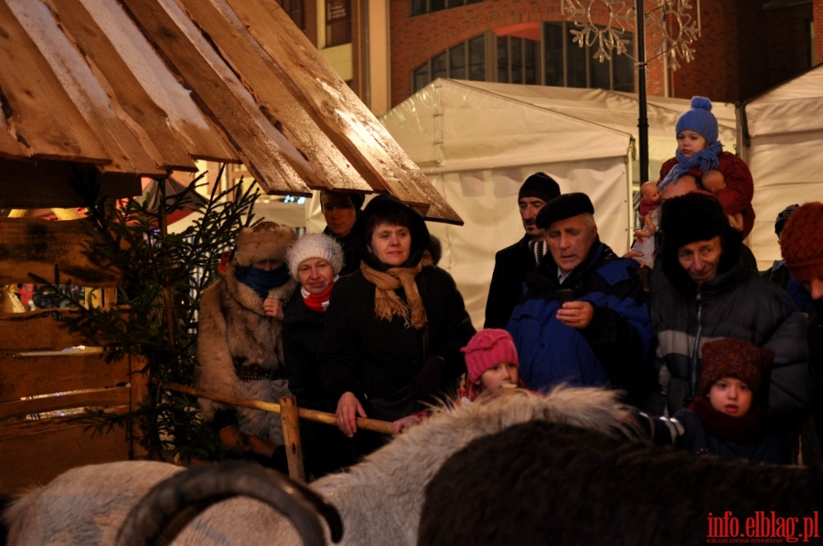 witeczne Spotkania Elblan - niedziela, 16 grudnia 2012r., fot. 27