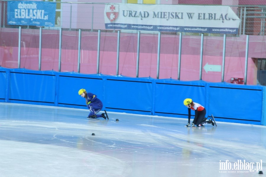 Zawody Danubia Series – Elblag Cup 2013 - dzie 2 , fot. 23