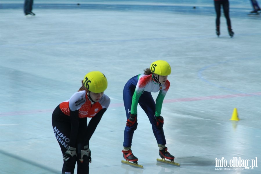 Zawody Danubia Series – Elblag Cup 2013 - dzie 2 , fot. 37