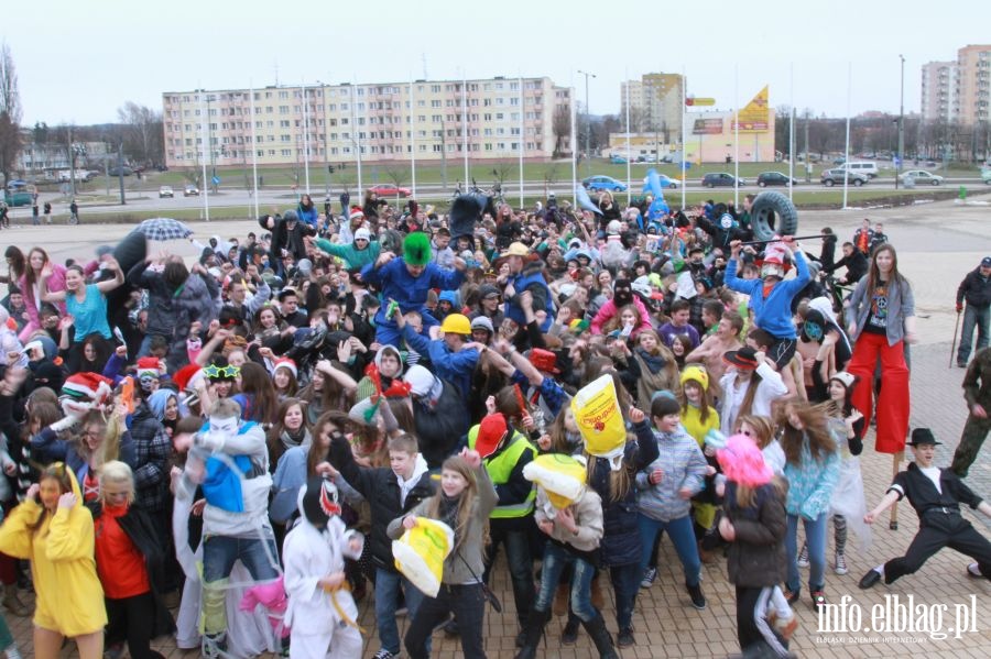 Harlem Shake w Elblgu, fot. 73