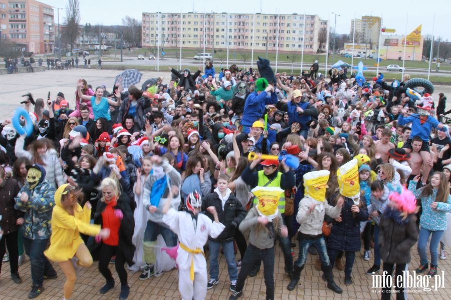 Harlem Shake w Elblgu, fot. 75