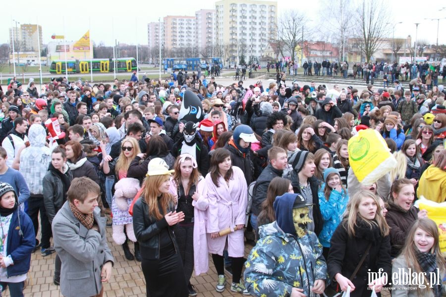 Harlem Shake w Elblgu, fot. 95