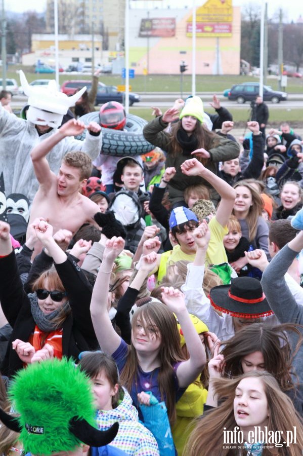 Harlem Shake w Elblgu, fot. 111