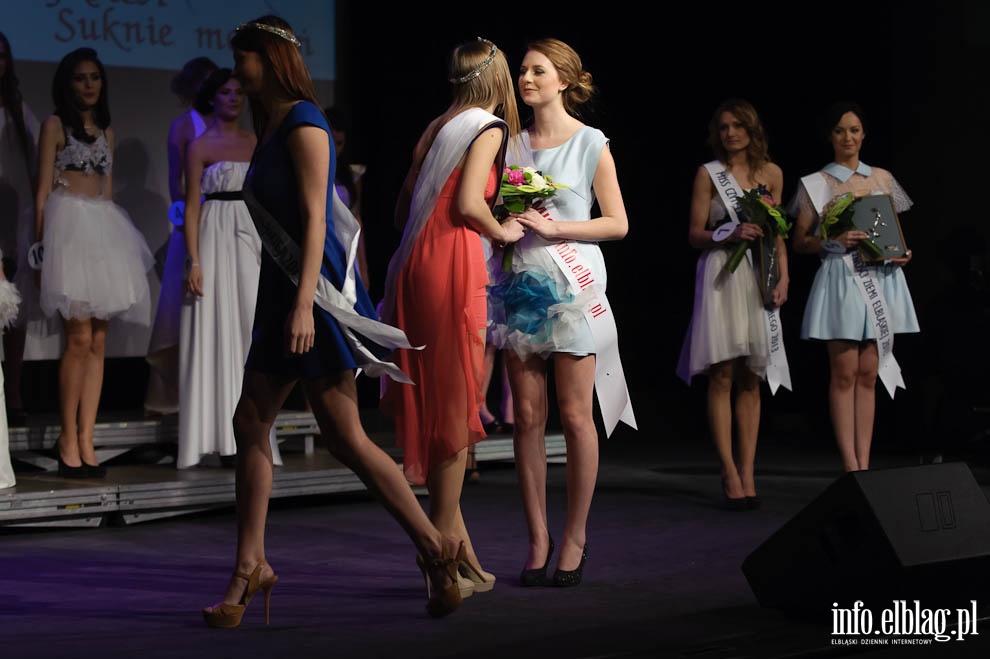 Gala Miss Ziemi Elblskiej 2013, fot. 198