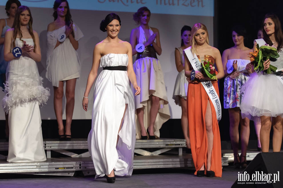 Gala Miss Ziemi Elblskiej 2013, fot. 217