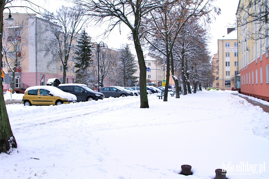 Elblg zim - luty 2013, fot. 2