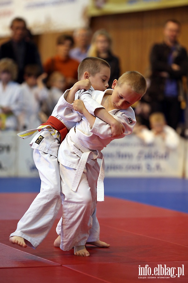 Oglnopolskie Otwarte Mistrzostwa Elblga Dzieci i Modzikw w Judo, fot. 8