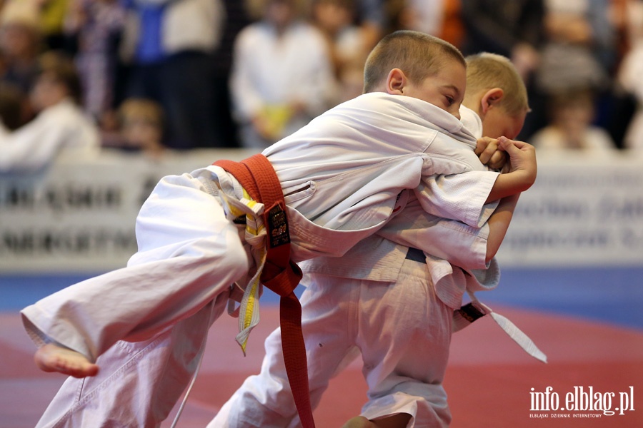 Oglnopolskie Otwarte Mistrzostwa Elblga Dzieci i Modzikw w Judo, fot. 9