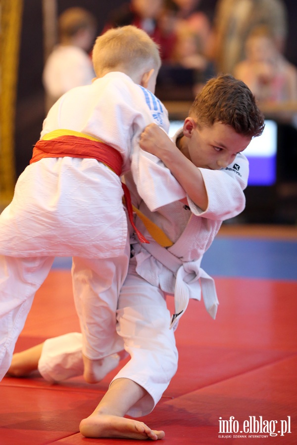 Oglnopolskie Otwarte Mistrzostwa Elblga Dzieci i Modzikw w Judo, fot. 17