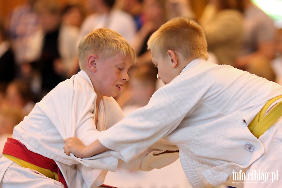 Oglnopolskie Otwarte Mistrzostwa Elblga Dzieci i Modzikw w Judo, fot. 19