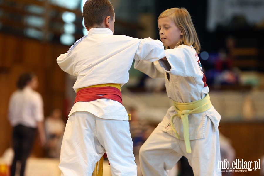 Oglnopolskie Otwarte Mistrzostwa Elblga Dzieci i Modzikw w Judo, fot. 22