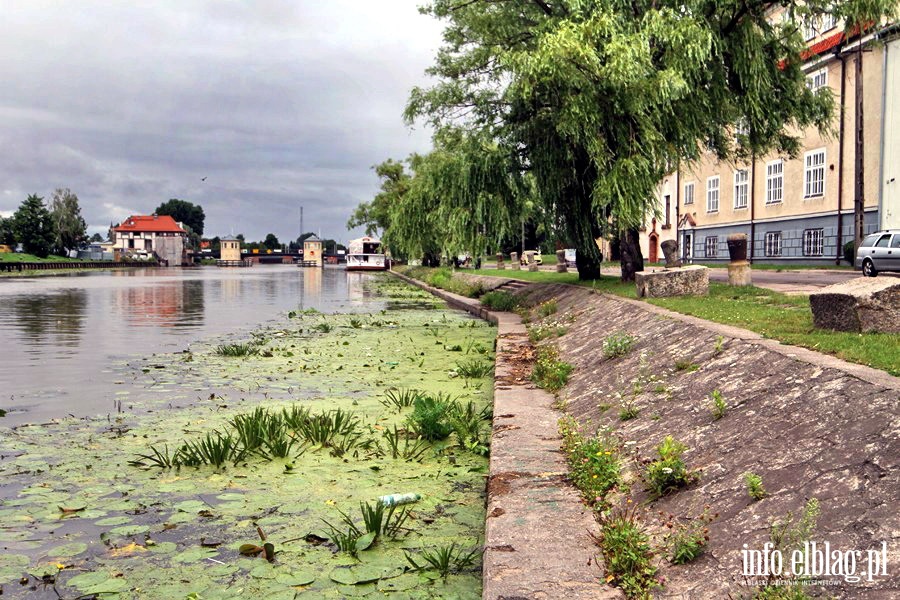 Bulwar Zygmunta Augusta - niewyremontowana cz prawego brzegu rzeki Elblg, fot. 5