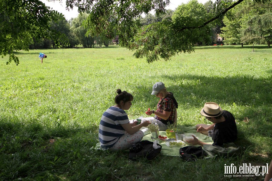 Trzeci piknik w ramach tgorocznej akcji ZiELBLG, fot. 22