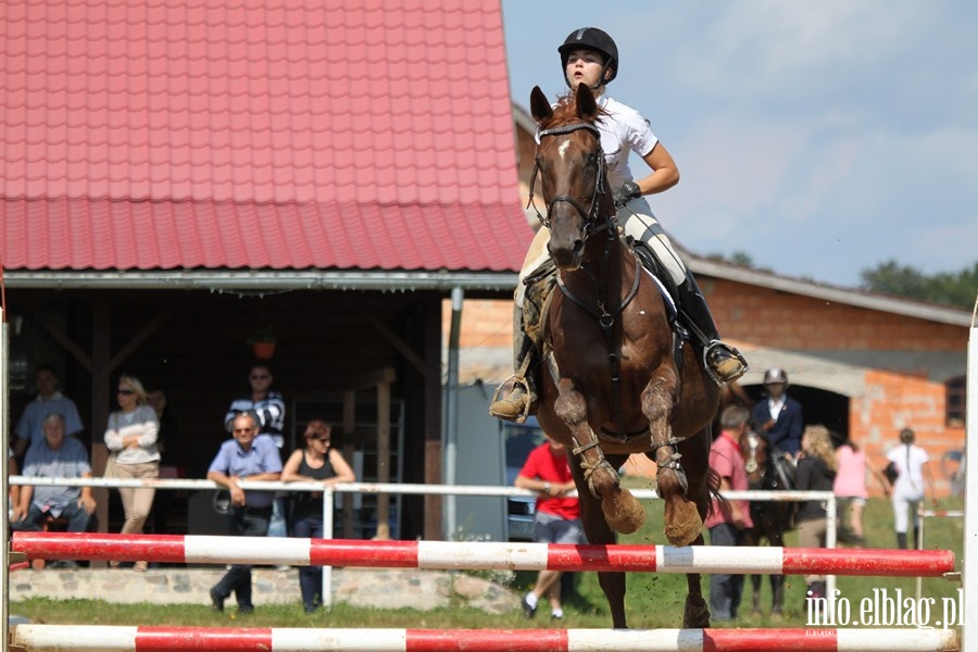 Regionalne Zawody w Skokach Przez Przeszkody, fot. 3