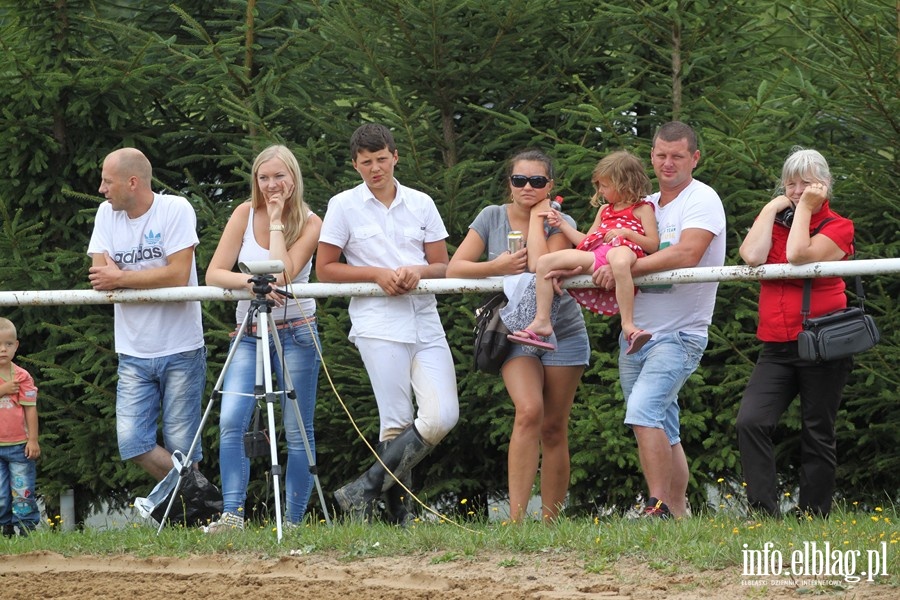 Regionalne Zawody w Skokach Przez Przeszkody, fot. 21