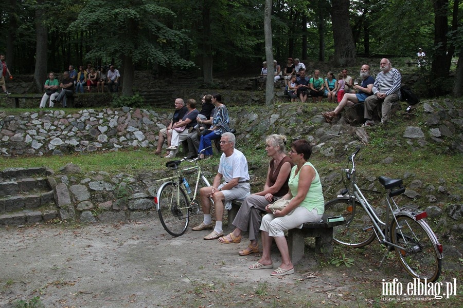 Koncert XVI Letniego Salonu Muzycznego- zesp OLD TIMERS - 18.08.2013r. , fot. 14