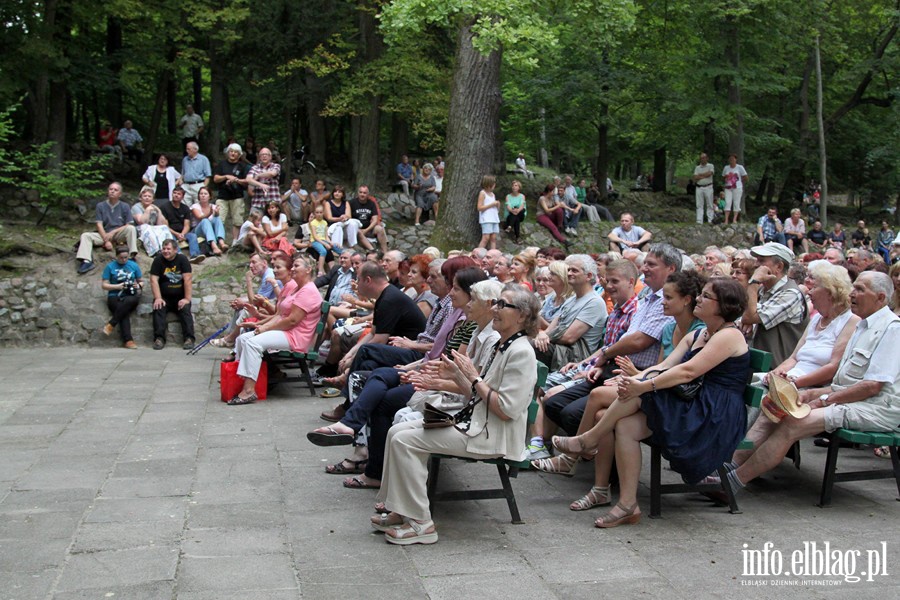 Koncert XVI Letniego Salonu Muzycznego- zesp OLD TIMERS - 18.08.2013r. , fot. 18