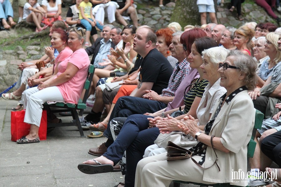 Koncert XVI Letniego Salonu Muzycznego- zesp OLD TIMERS - 18.08.2013r. , fot. 19