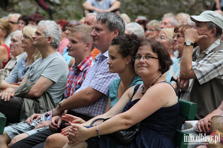 Koncert XVI Letniego Salonu Muzycznego- zesp OLD TIMERS - 18.08.2013r. , fot. 20