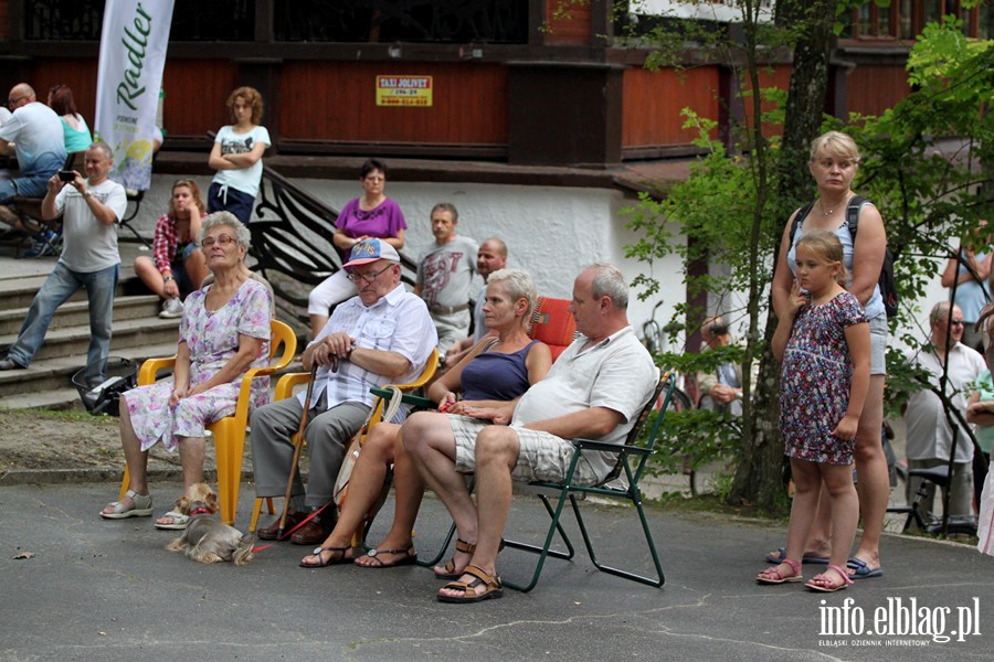 Koncert XVI Letniego Salonu Muzycznego- zesp OLD TIMERS - 18.08.2013r. , fot. 23