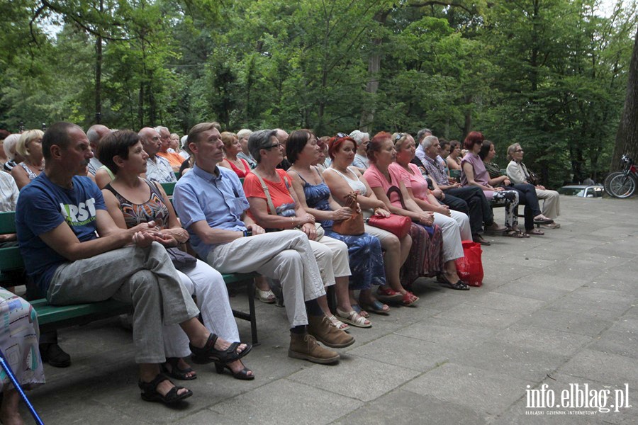 Koncert XVI Letniego Salonu Muzycznego- zesp OLD TIMERS - 18.08.2013r. , fot. 30