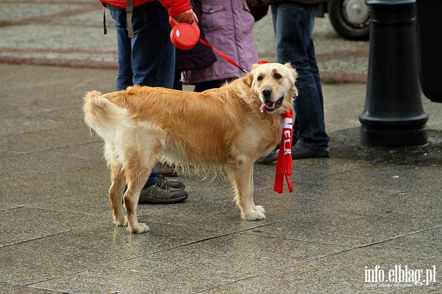 22. fina WOP- Elblg, 12.01.2014r., fot. 18