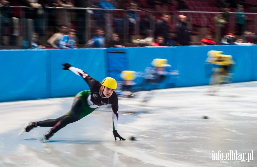 Mistrzostwa Polski w Short Tracku (01.03.2014), fot. 19