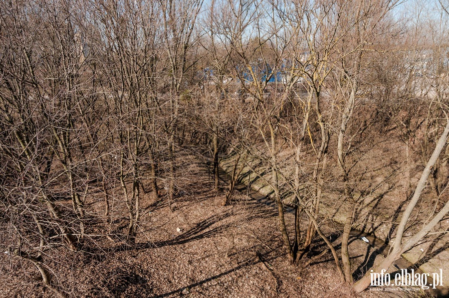 Teren do planowanego orodka rekreacji wodnej, fot. 12