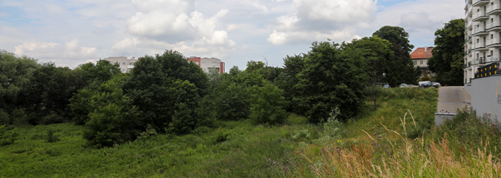 Elblg: Inwestycja na dziace za 8 mln z. Na jakim etapie jest przedsiwzicie?