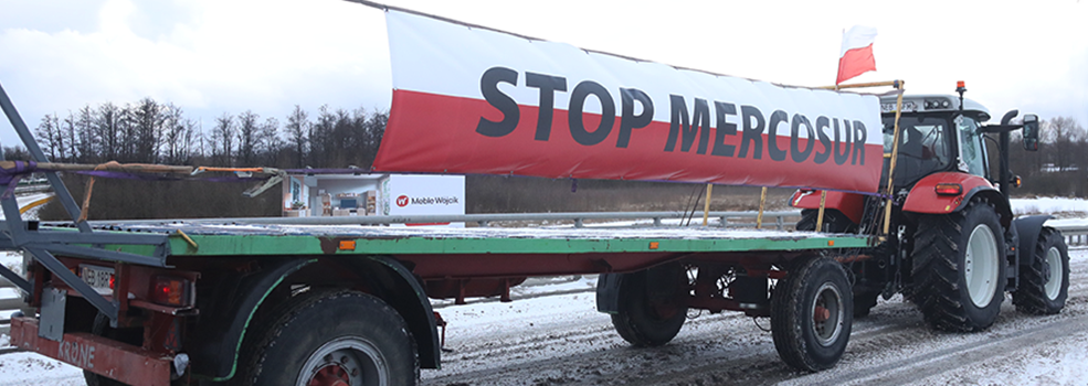 Traktory na wiaduktach nad S7. Protest rolnik�w w Elbl�gu (zdj�cia)