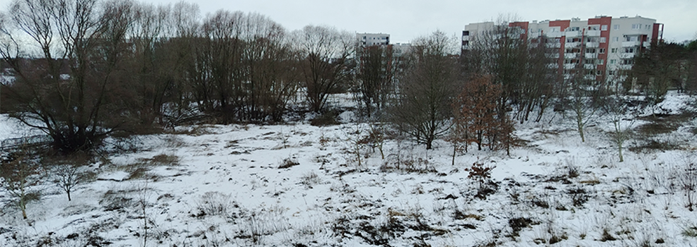 Jedna z dro�szych dzia�ek w Elbl�gu zmieni si� w osiedle? 