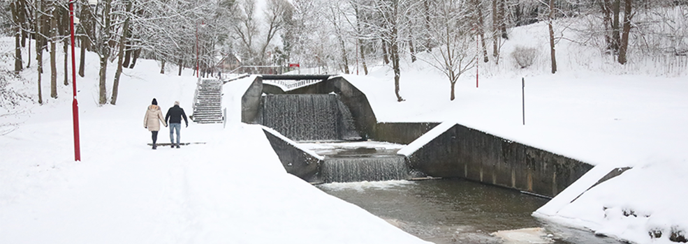 Zima na dobre zawita�a do Elbl�ga - zobacz zdj�cia i film z Parku Dolinka