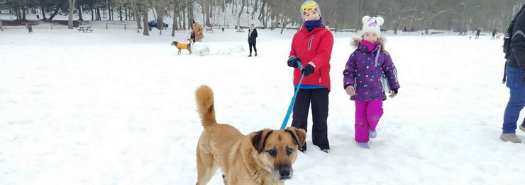 Za nami Walentynkowy Bieg na 6 �ap.Wolontariusze przemierzyli z czworonogami 5km