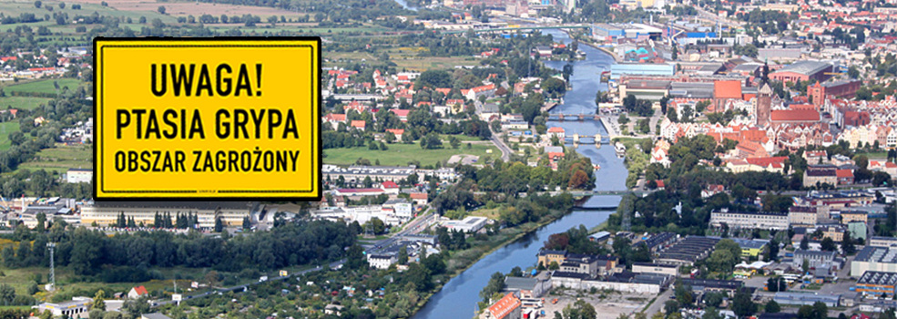 Kolejne ognisko ptasiej grypy w Elbl�gu! Rozszerzono stref� zaka�enia