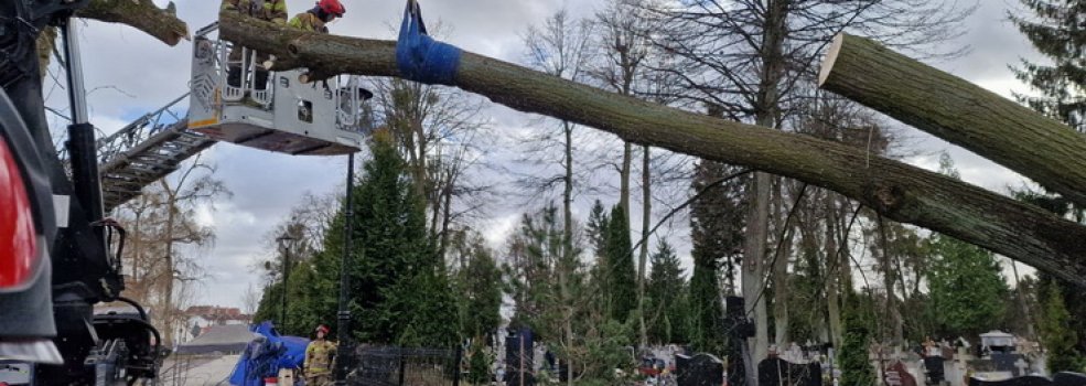 Podmuchy wiatru wyrywa�y drzewa, uszkadza�y linie energetyczne i dachy budynk�w