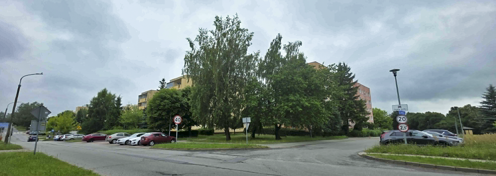 Kilkadziesi�t drzew zniknie z Elbl�ga? EPEC planuje wycinki
