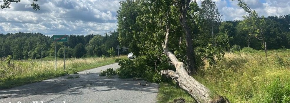 Wichura uderzy�a w region. Powalone drzewa, uszkodzone auta i wiele interwencji