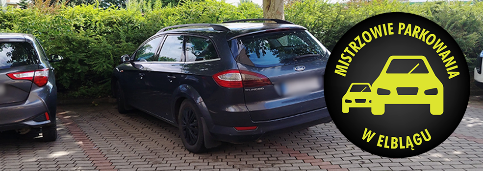 Mistrzowie Parkowania w Elbl�gu (cz�� 493)