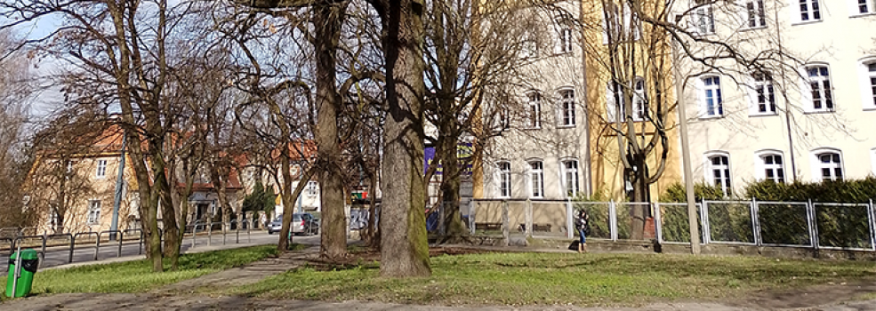 U zbiegu ulic Browarnej i Robotniczej powstanie park kieszonkowy